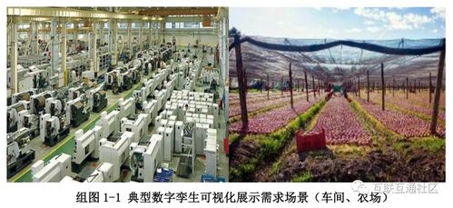什么是孿生圖 csdn
