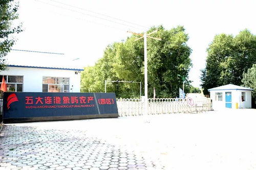 象嶼四區(qū)公司 服務(wù)地方經(jīng)濟(jì) 攜手共建輝煌