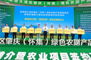 28宗項(xiàng)目投資381億,懷集農(nóng)副產(chǎn)品基地或成 中央廚房