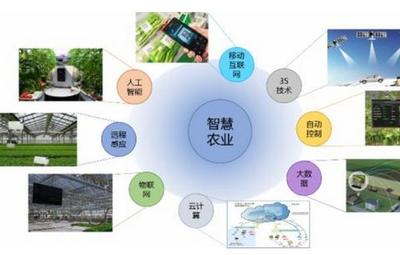 智慧農(nóng)業(yè)如何切入 重點(diǎn)在于數(shù)據(jù)網(wǎng)絡(luò)技術(shù)